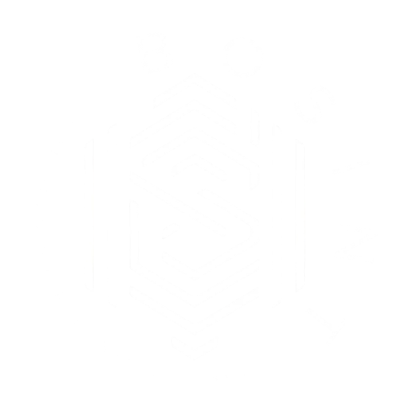 BosINT Logo